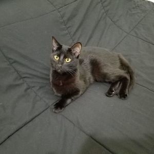 Meet your Posher, Dawn